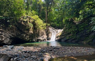 JUNGLE DREAMS FARM: WHERE NATURE MEETS SERENITY – 20 ACRES